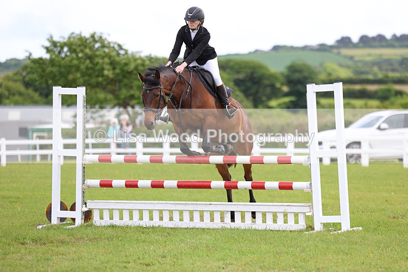 3E7A7675 - Class 13: Senior British Novice/90cm open
