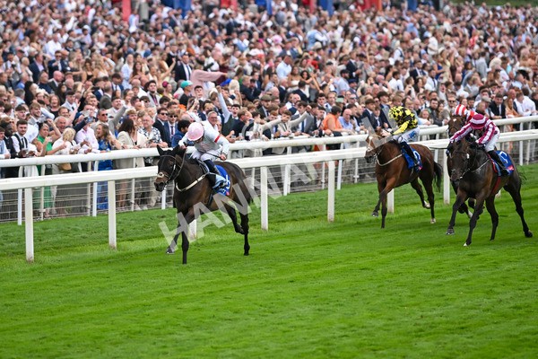 230825-Race 4-Ethical Diamond-0566 - Race 4 3.35pm Sky Bet Ebor Handicap
