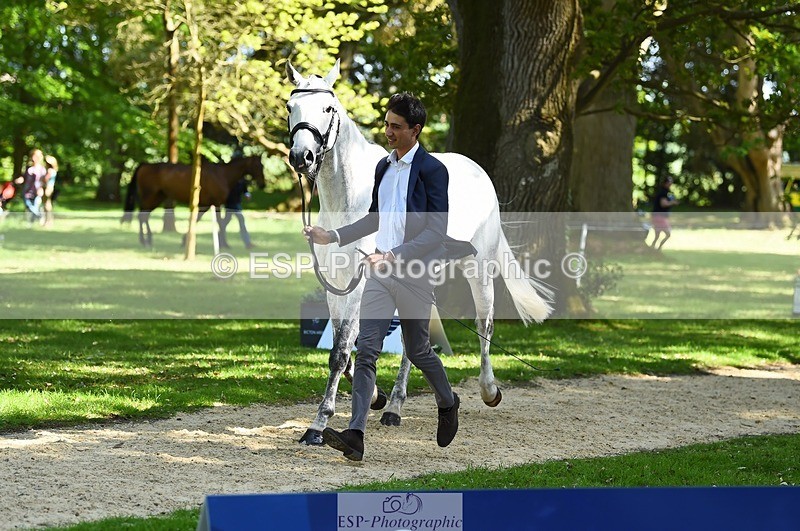 230524-153402-00360 - 359-LONG_BEACH-Giorgio_Nardilli-WEDTrotUp+DR