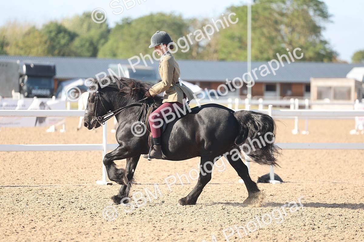 SBM_22176 - Class 802 - Ridden Groom Helpers Class