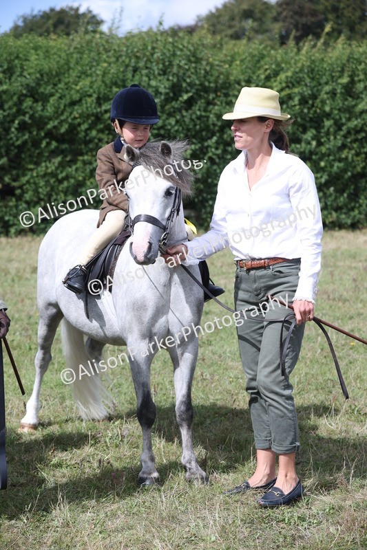 20250831-2750 - Class 17 - Lead Rein Pony