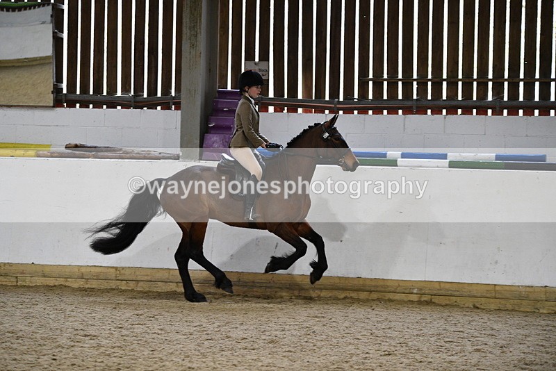 WJ5_7248 - Class 11 Ridden PC - RC Pony
