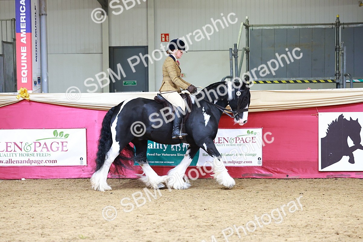 SBM_06170 - Class 12R - Ridden Pre-Vet