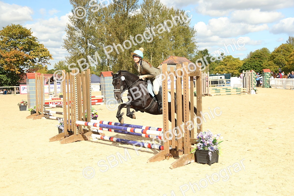 SBM_41316 - J6 - Junior Pony 55cm Championships