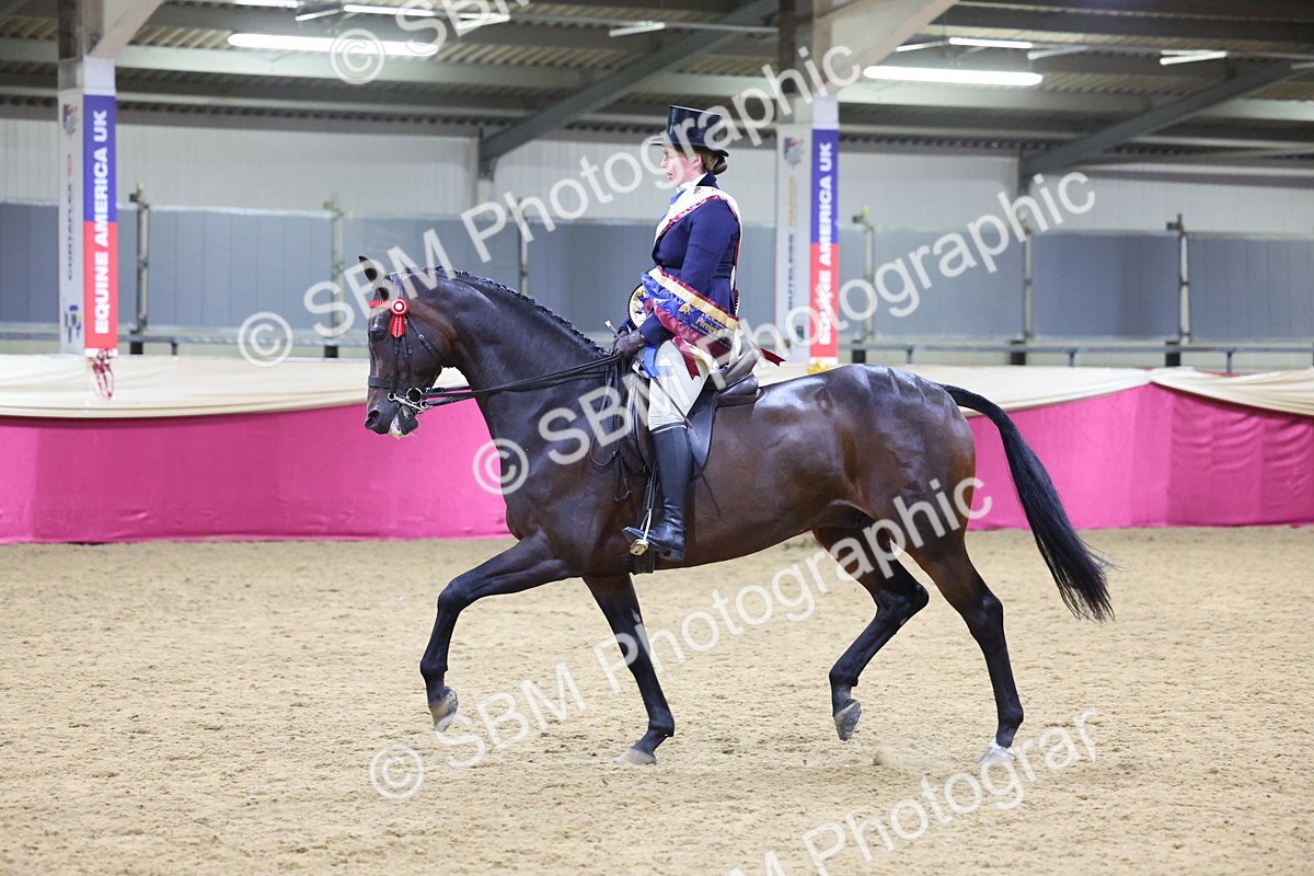 SBM_19105 - Class H Foreign Breeds Champ