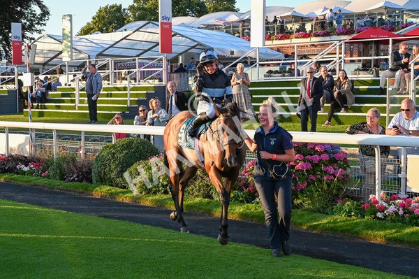 260724-Race 6-Duran-7944 - Race 6 8.20pm Sky Bet Go-Racing-In-Yorkshire Summer Festival Handicap