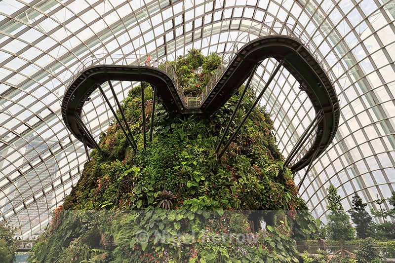 Walkway inside Cloud Forest greenhouse, Gardens by the Bay - Singapore