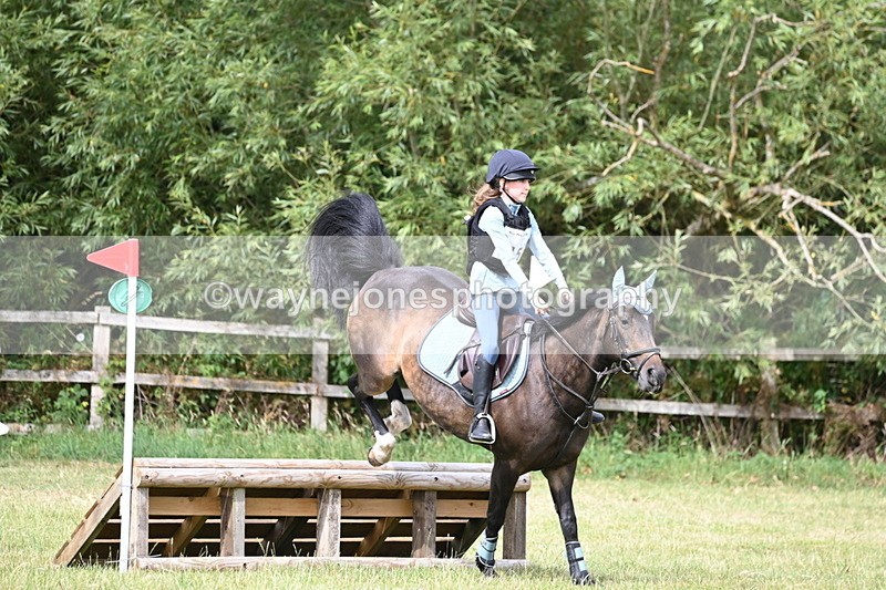 WJ6_6382 - 60cm XC Time 10:17 to 10:49