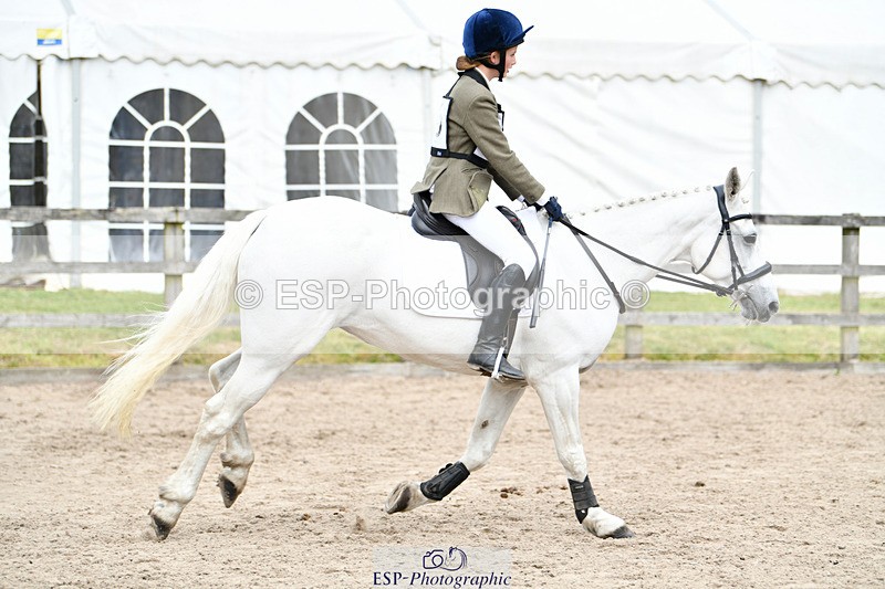 240825X-151135-35870 - 80cm SJ 14.00 to 15.55