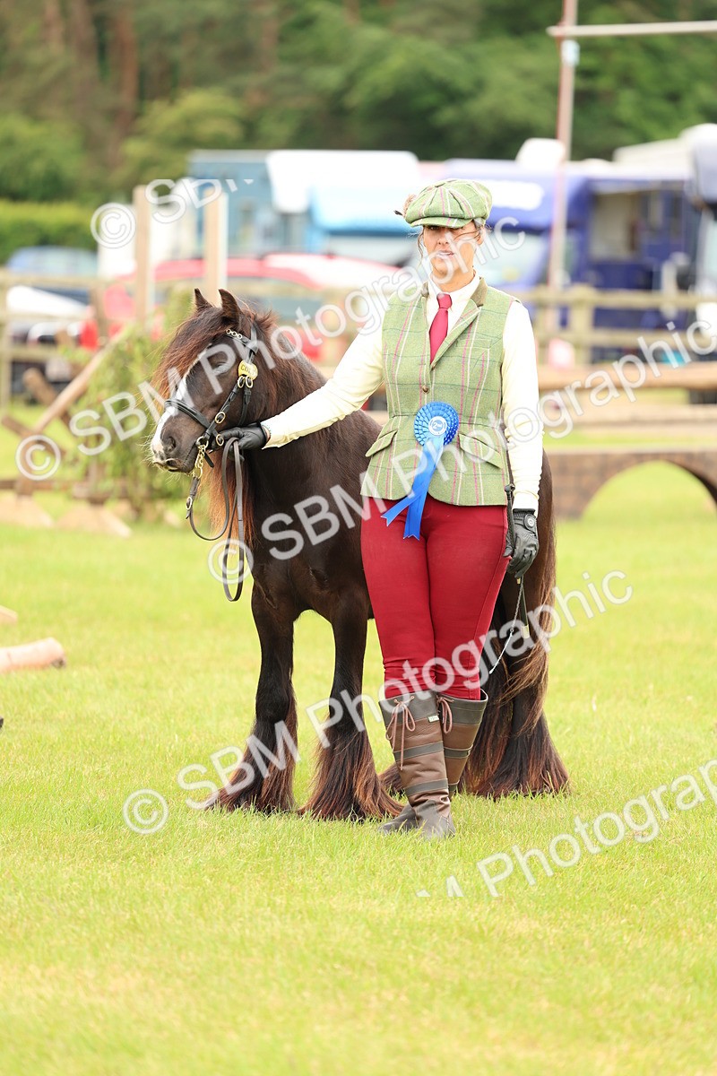 SBM_06339 - Class 39-41 TGCA In Hand and Ridden