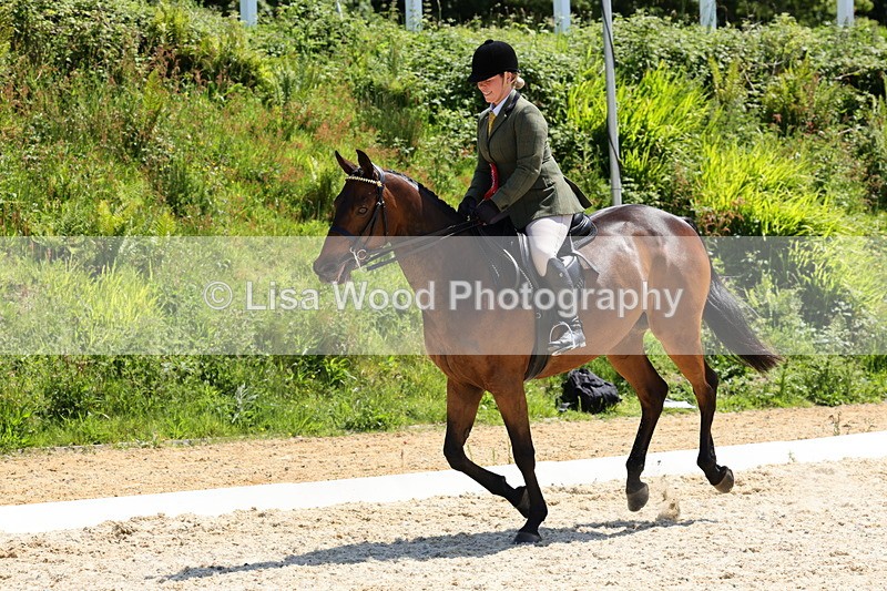 1X9A1928 - Class 12: Ridden Riding Horse/Hack