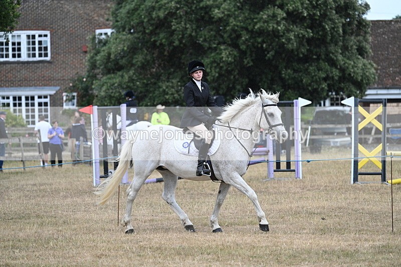 WJ7_0954 - Class 7 Riding Club Show Horse
