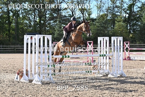 BPP_7585 - CLASS 8 Senior Newcomers/ 1.10m Open