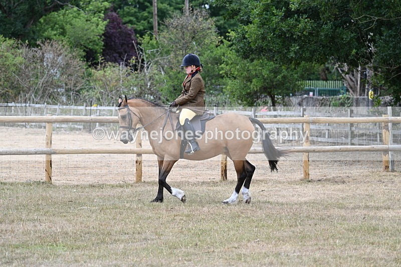 WJ7_7686 - Class 3 Family Mount