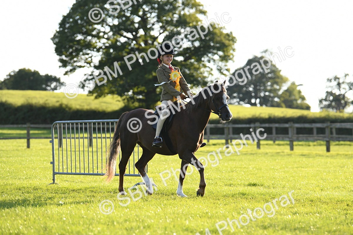 SBM_54218 - S23 - 1st Ridden Mountain & Moorland Pony