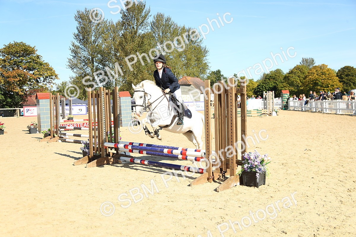 SBM_39283 - J6 - Junior Pony 55cm Championships