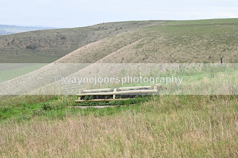 WJ7_9773 - Camera 1 & Last fence