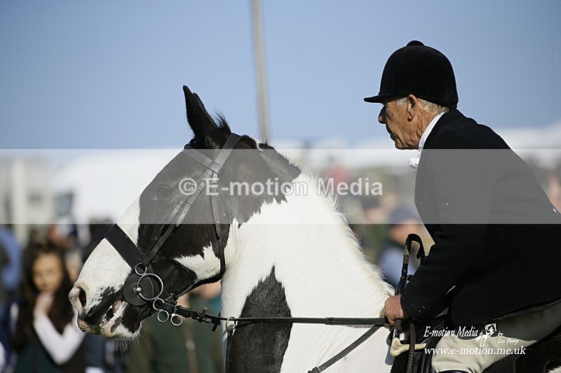 PtP 190322 676 - Wilton Hunt PtP Milborne St Andrew 19/03/22