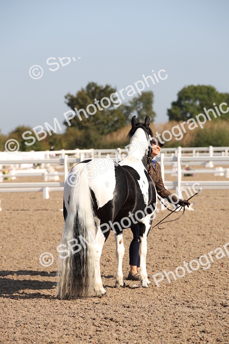 SBM_01451 - Class 15 IH Coloured