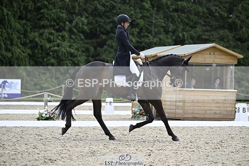 000101-190716-03857 - 426-VISCOUNT_VIKTOR-Tim_Price