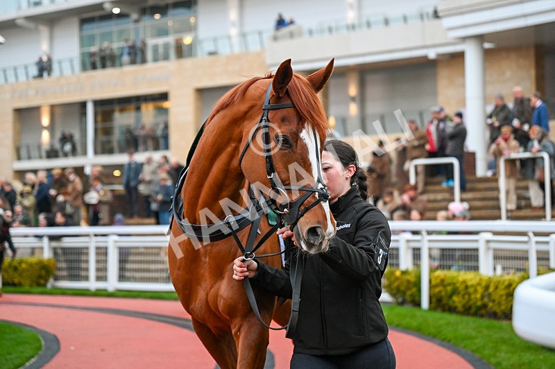 131224-Race 7-Doyen Quest-0098