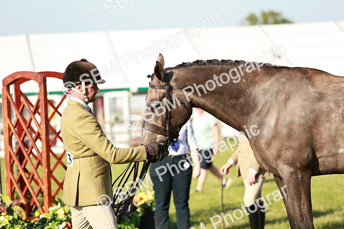 SBM_20166 - Class 117-119 - Sport Horse Working Hunter
