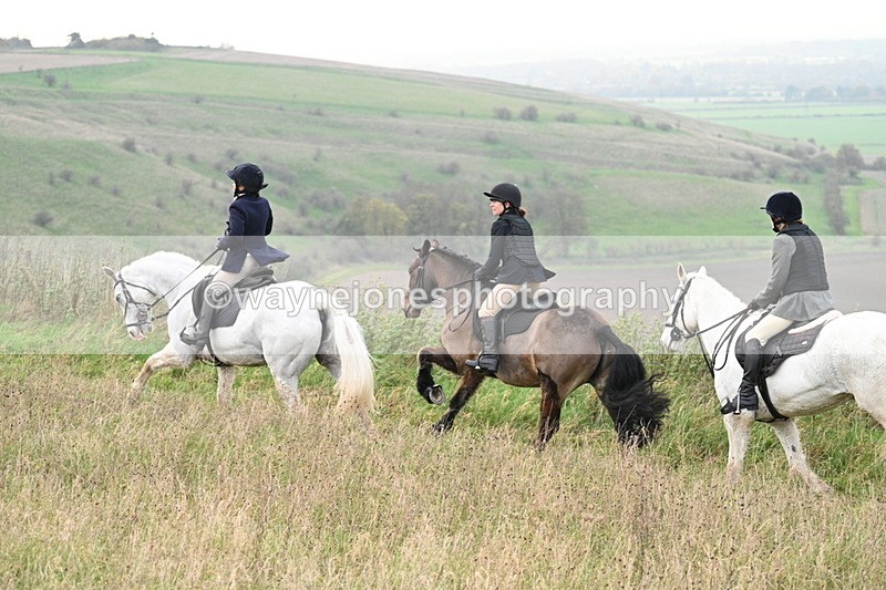 WJ7_0082 - Camera 1 & Last fence