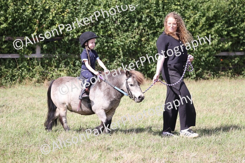 20260906-2748 - Class 25 - Absolute Beginners Pony