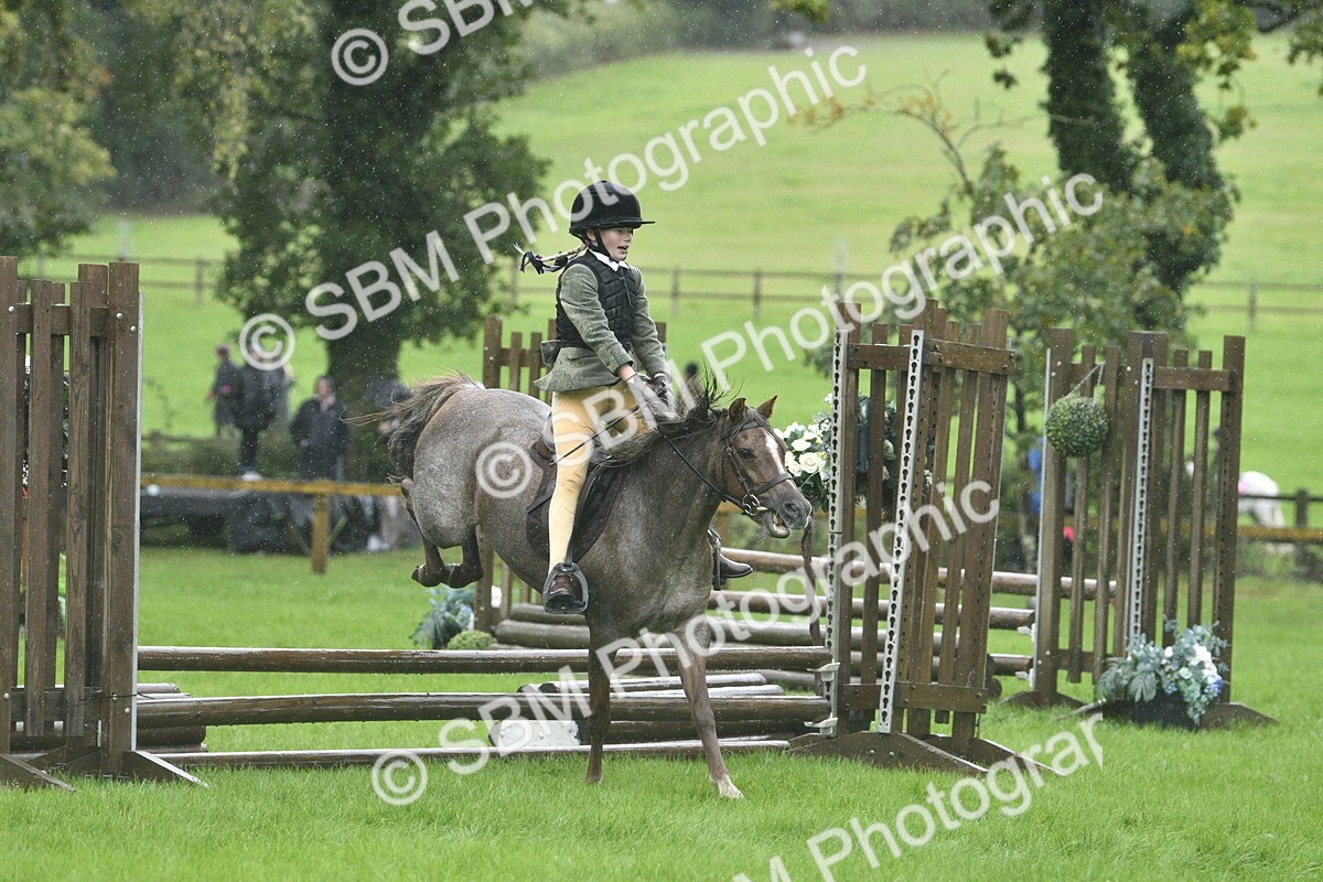 SBM_37137 - S31 - Novice & Newcomer Working Hunter Pony