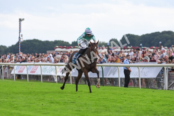 yr04092022r6-39 - Race 6 4.40pm Hanson Springs Stakes