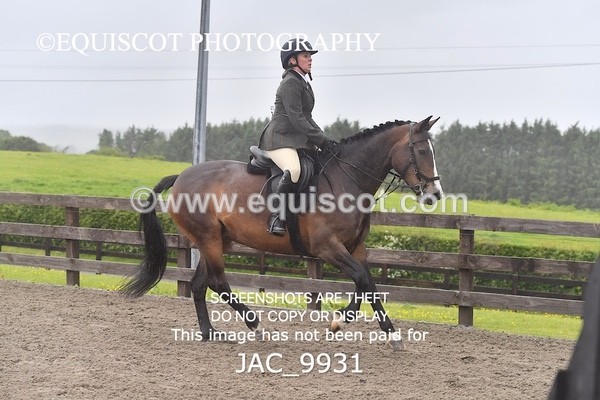 JAC_9931 - CLASS 3 Intermediate Working Hunter (0.70m - 0.85m)