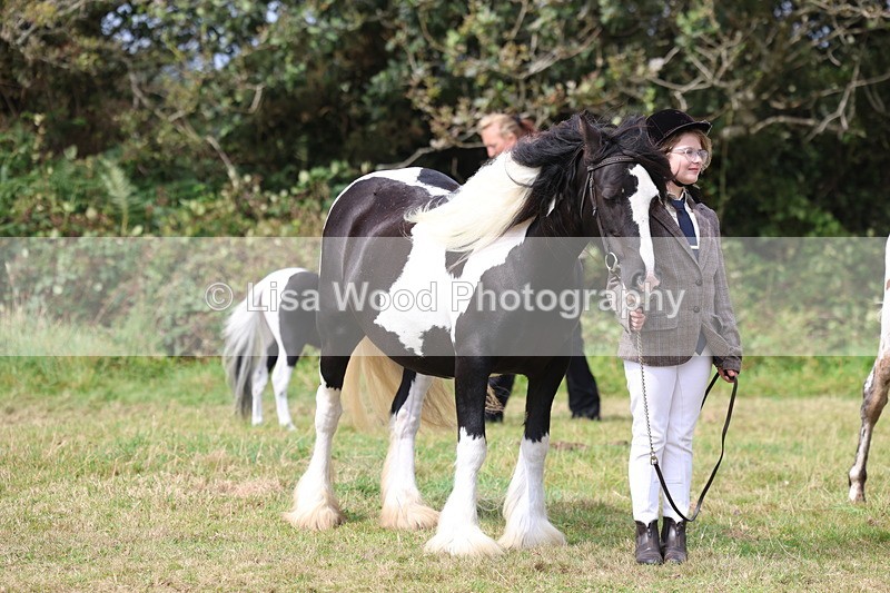 3E7A5422 - Class 19: Best Coloured in Hand