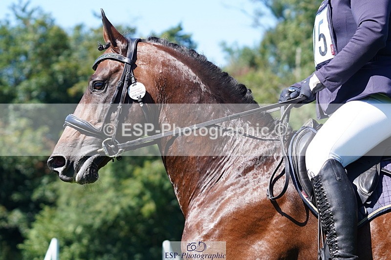 240811A-152140-05065 - 315