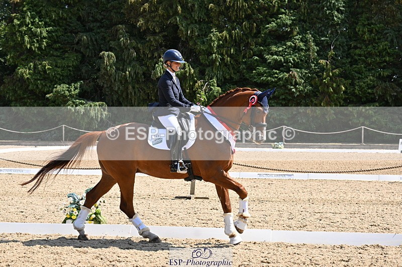 250810A-123413-06390 - Adv Medium GOLD Presentations