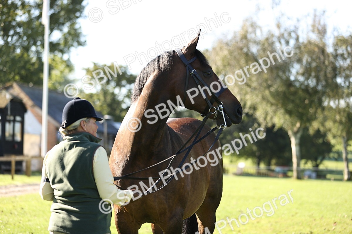SBM_15773 - S1 - TSR in Hand Horse & Pony Showing