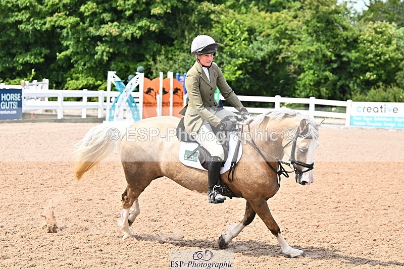 240619A-110110-00011 - Cls 1 British Novice and 90cm Open