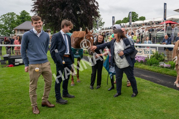 250524-Race 6-Primo Lara-0635 - Race 6 4.30pm Royal Yorkshire Regiment Handicap