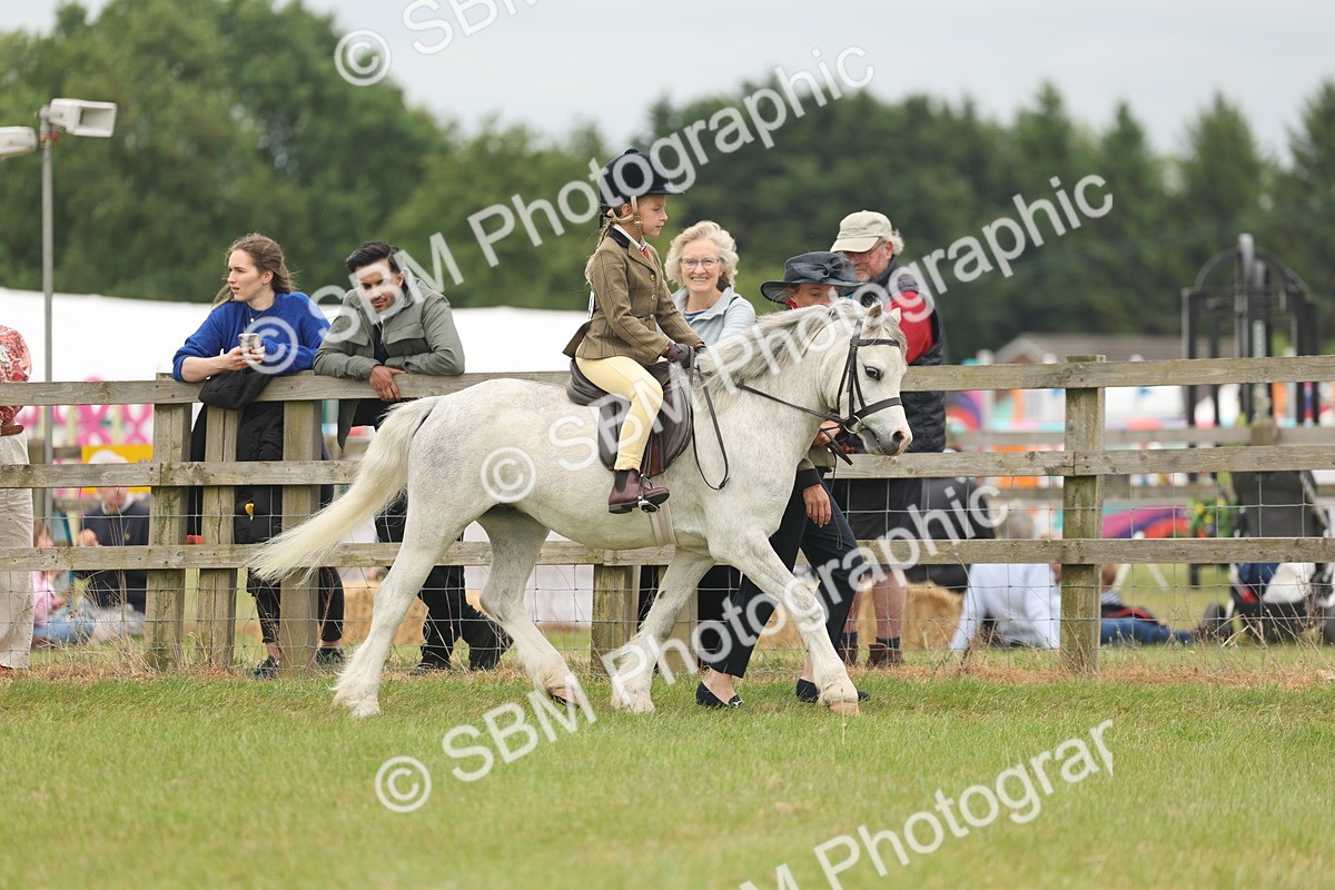 SBM_06734 - Class 74-75 - M&M Lead Rein and First Ridden Pony
