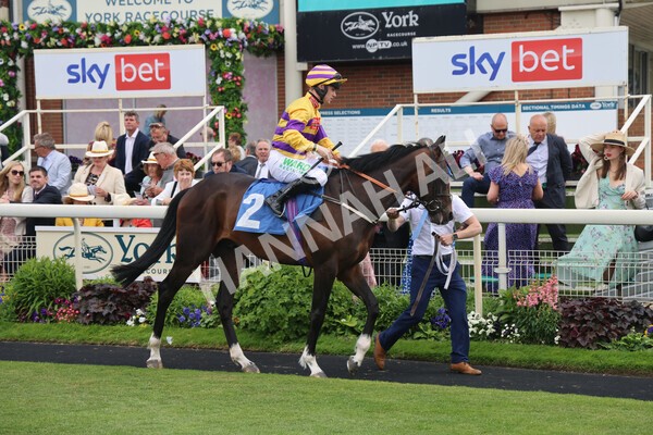 yr11062022r6-8 - Race 6 4.15pm Reg Griffin Appreciation EBFstallions.com Maiden Stakes