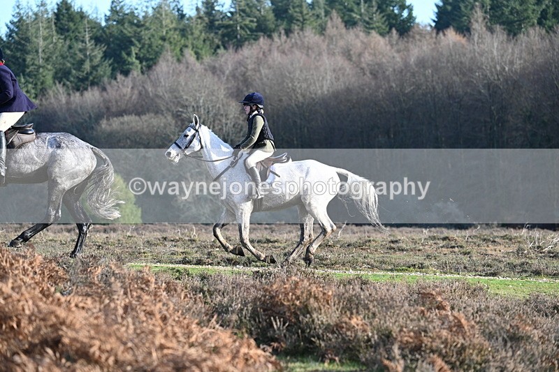 WJ7_7986 - Line 3 (no line 4 or 5)