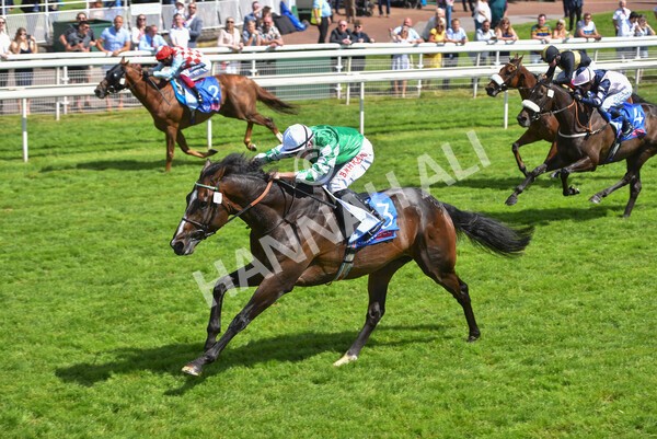 yr12062021r3-5 - Race 3 3.05pm Sky Bet Race to the Ebor Grand Cup