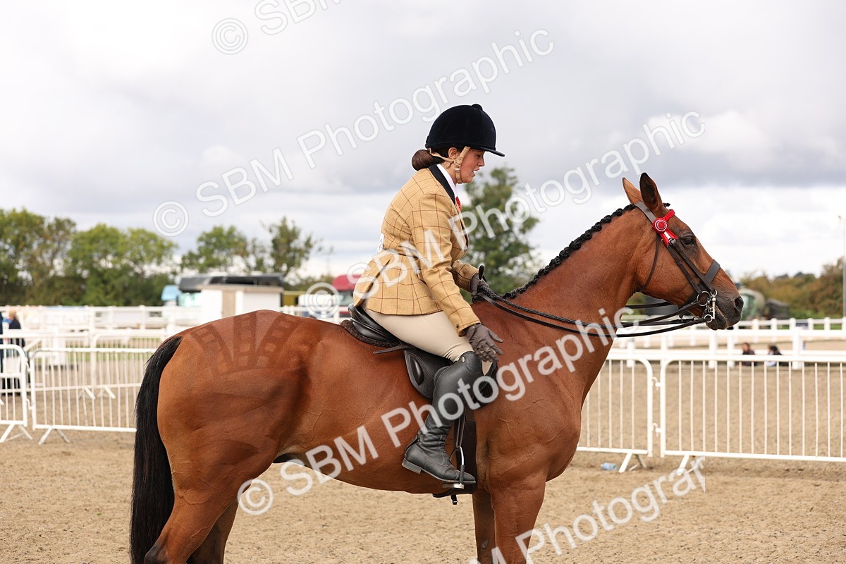 SBM_02858 - Class 53 - Ridden Competition Horse/Pony