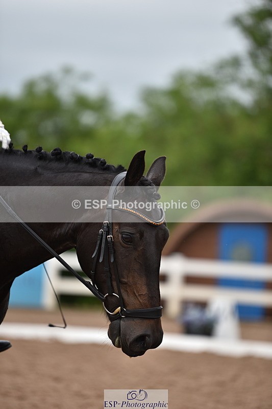 240623A-111348-17046 - Cls 47 BD Novice 22