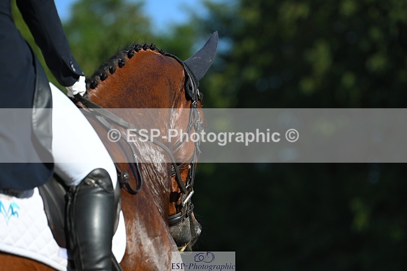 230526-173059-07624 - 264-BALLADEER_JUST_FOR_KICKS-Ellie_Healy-WEDTrotUp+DR