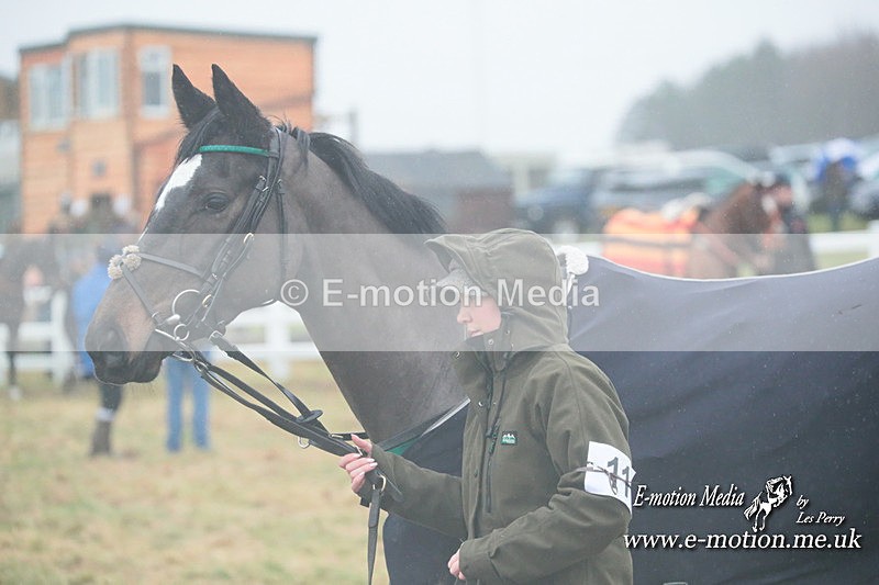 PtP 101223 206 - New Forest Hounds PtP Larkhill 10/12/23