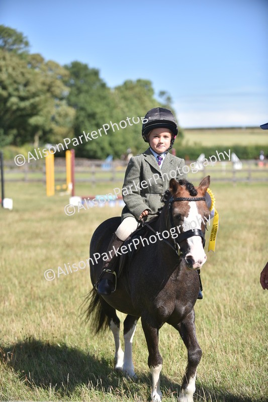 20260906-1016 - Class 7 - Absolute Novice Jumping 35cm