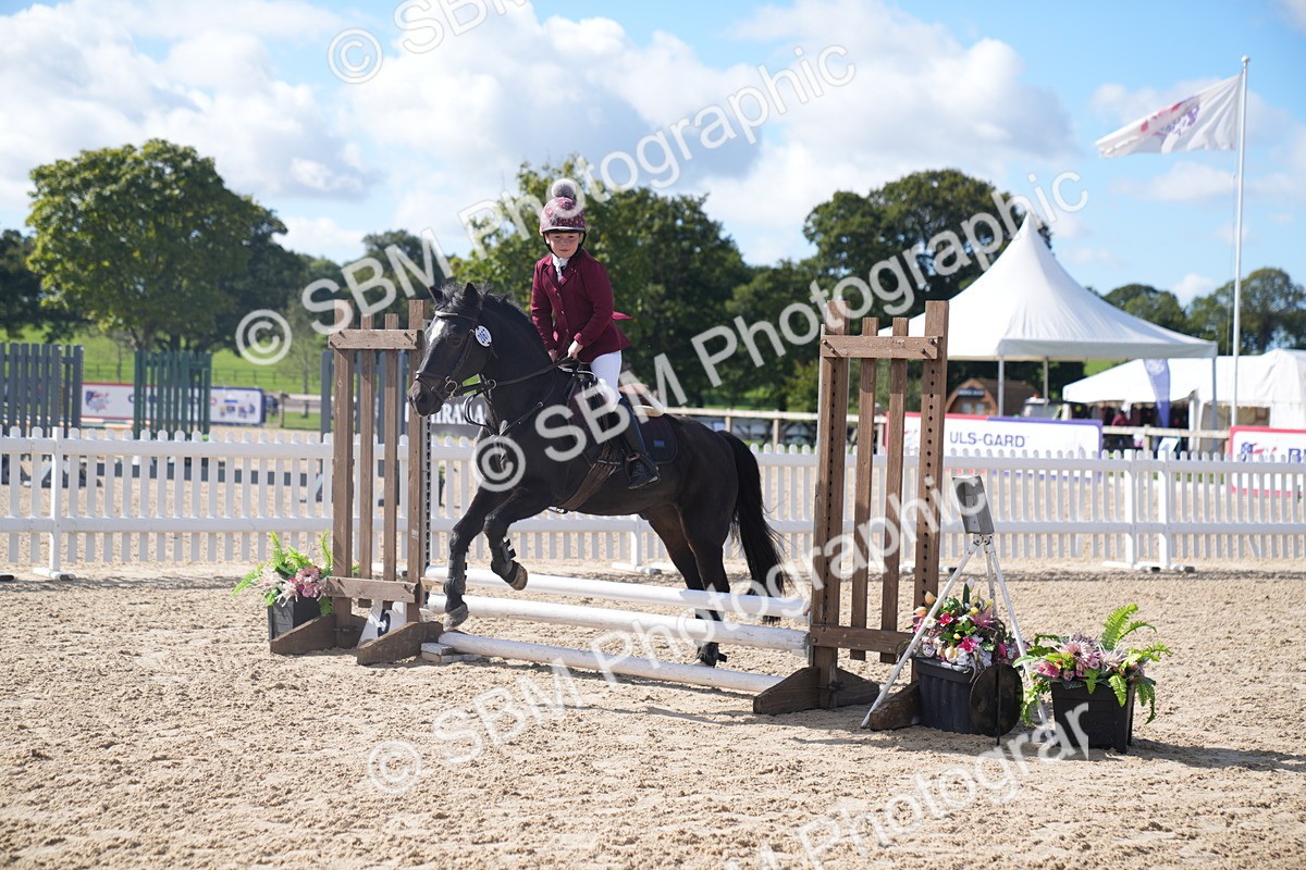 SBM_02441 - J54 Clear Round 45cm