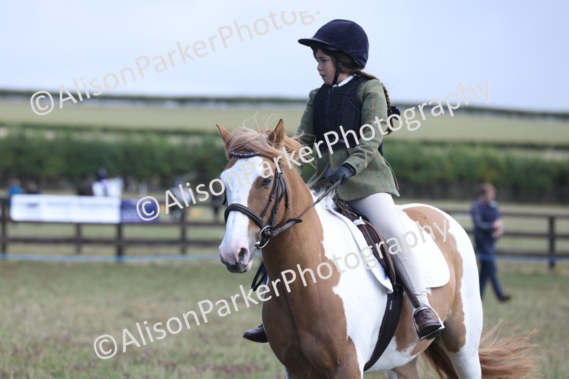 20250831-2450 - Class 16 - Family Pony