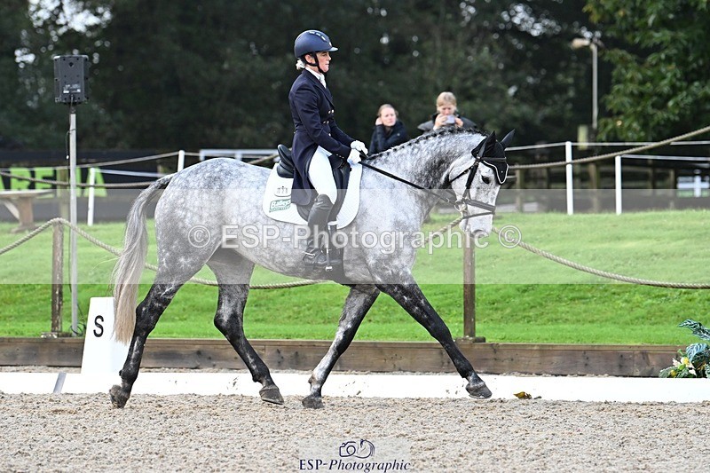 231019-094936-01233 - 028-BOLEYBAWN.COOLEY.LADY-Claire.Fielding-DR