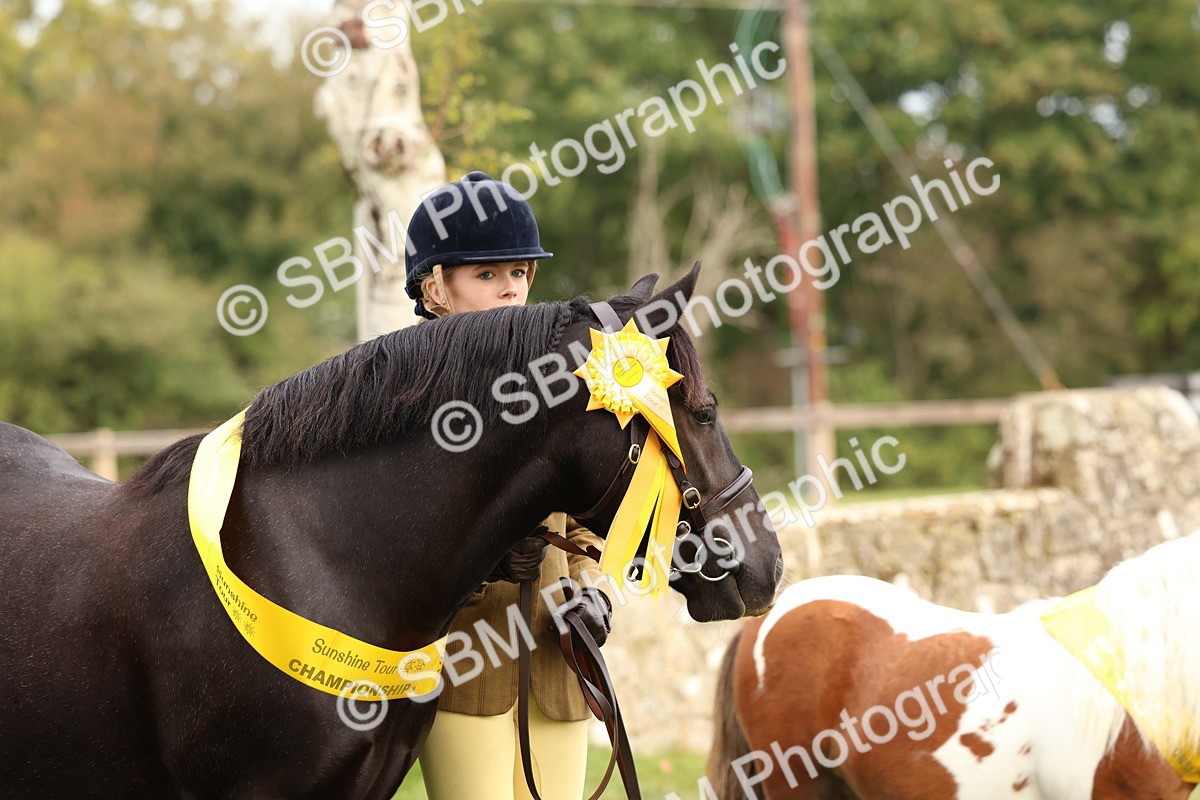 SBM_59780 - Start Supreme Championship